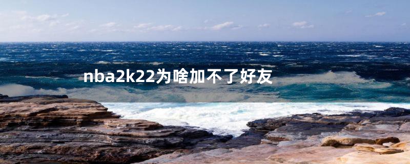 nba2k22为啥加不了好友