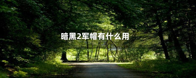 暗黑2军帽有什么用