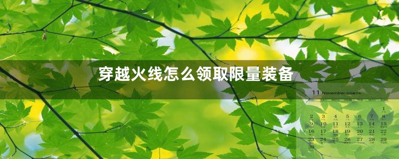 穿越火线怎么领取限量装备