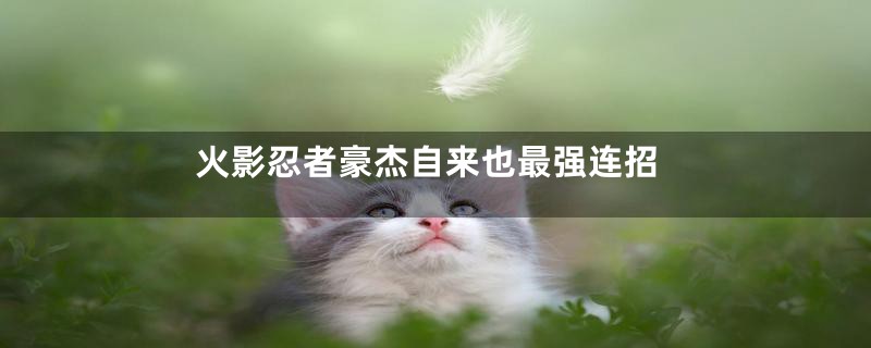 火影忍者豪杰自来也最强连招