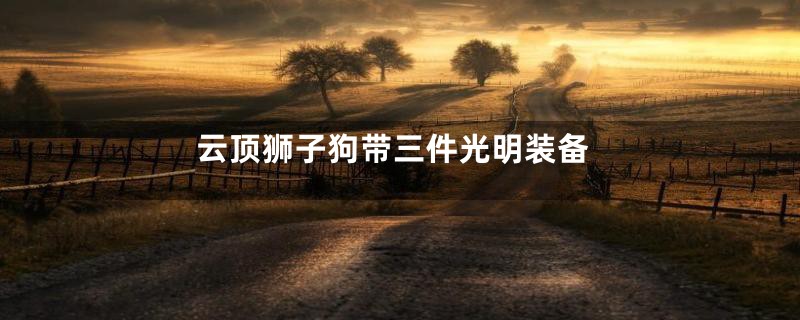 云顶狮子狗带三件光明装备