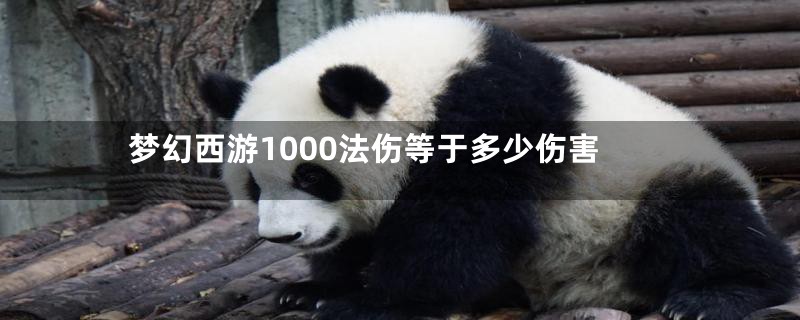 梦幻西游1000法伤等于多少伤害