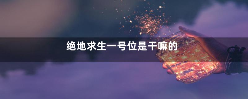 绝地求生一号位是干嘛的