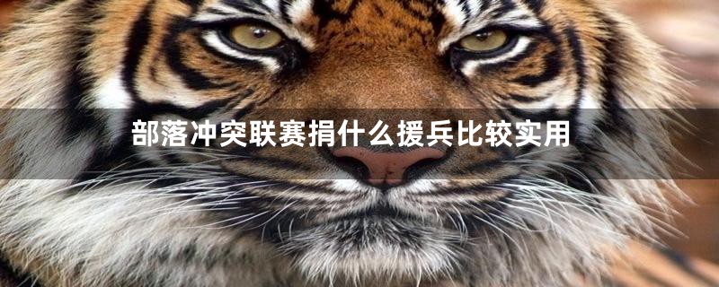 部落冲突联赛捐什么援兵比较实用