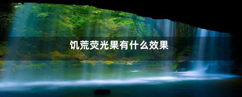饥荒荧光果有什么效果