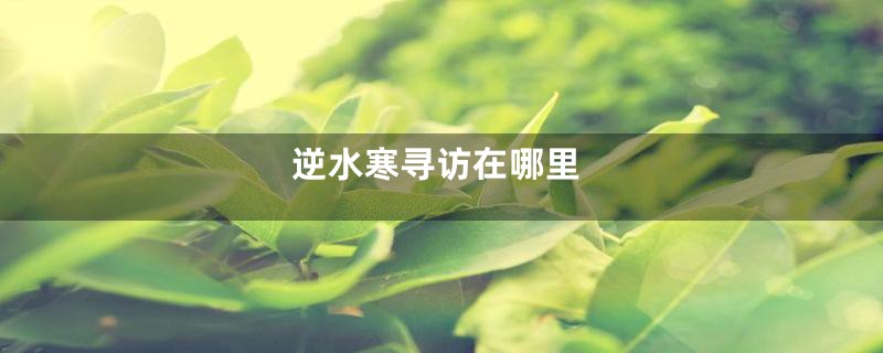 逆水寒寻访在哪里