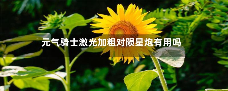 元气骑士激光加粗对陨星炮有用吗