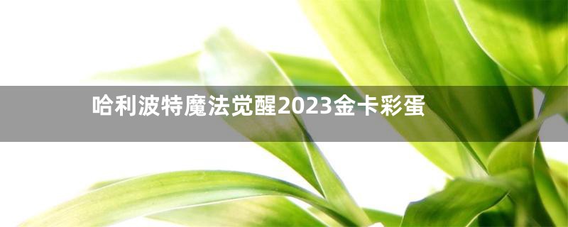 哈利波特魔法觉醒2023金卡彩蛋