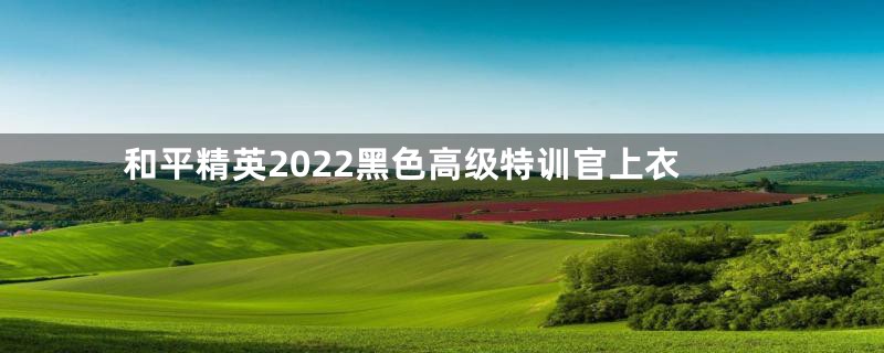 和平精英2022黑色高级特训官上衣