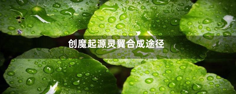 创魔起源灵翼合成途径