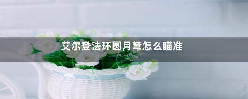 艾尔登法环圆月弩怎么瞄准