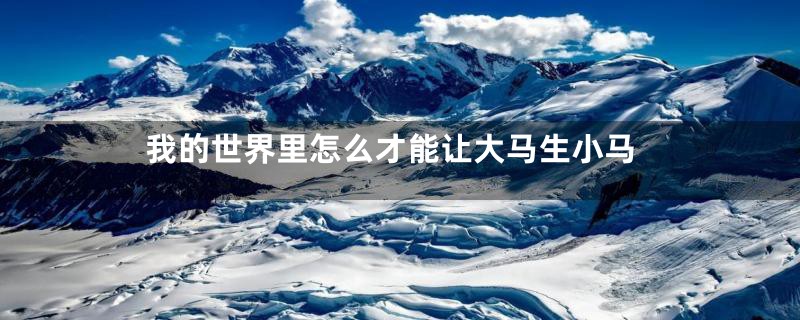 我的世界里怎么才能让大马生小马
