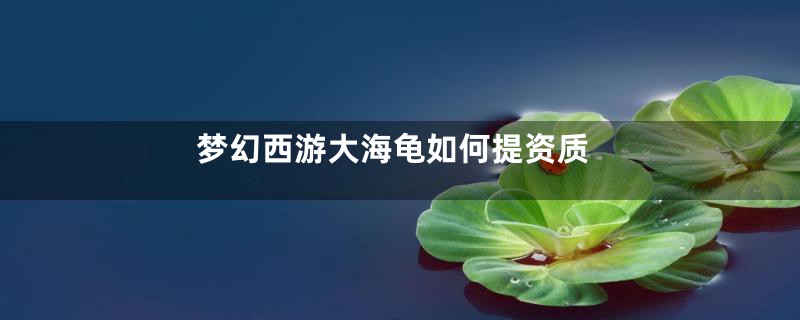 梦幻西游大海龟如何提资质