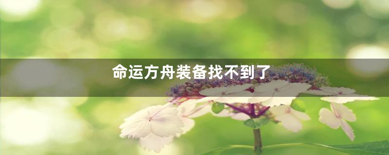 命运方舟装备找不到了