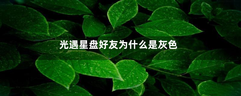 光遇星盘好友为什么是灰色