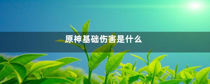 原神基础伤害是什么