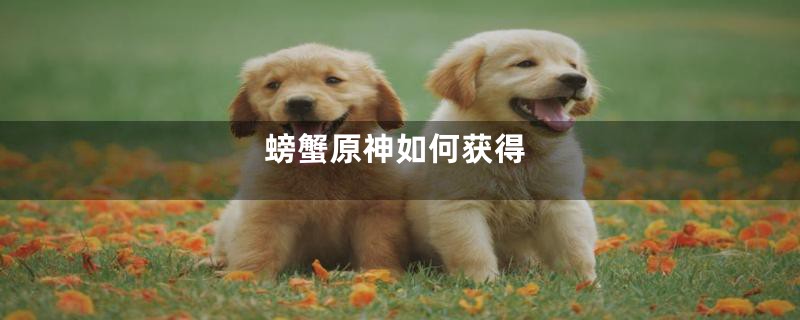 螃蟹原神如何获得