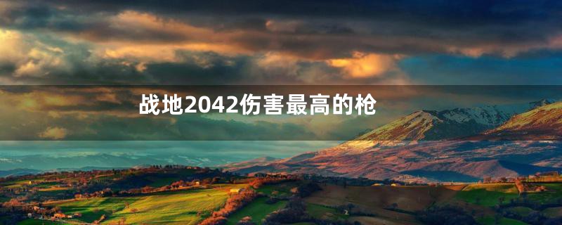 战地2042伤害最高的枪
