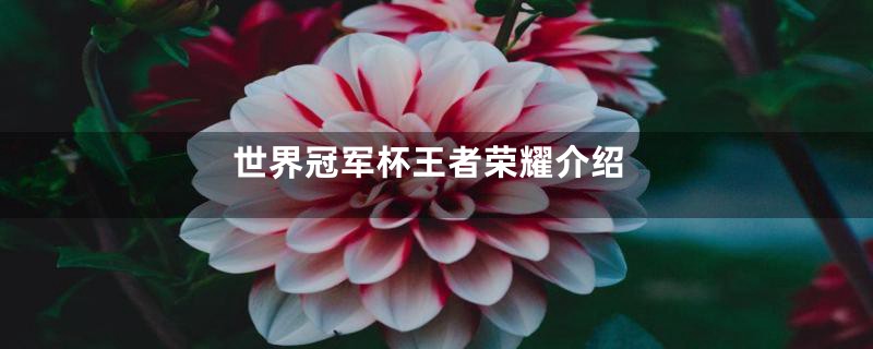 世界冠军杯王者荣耀介绍
