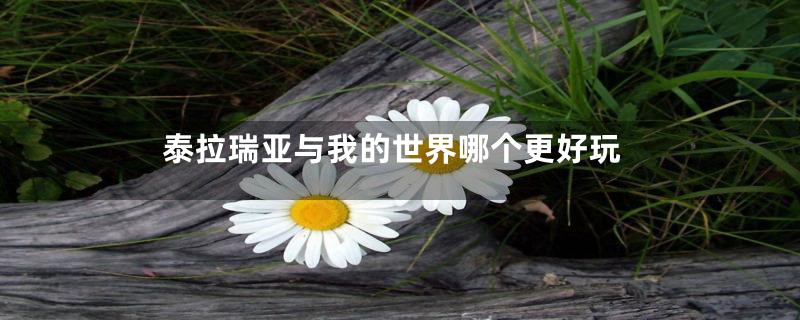 泰拉瑞亚与我的世界哪个更好玩