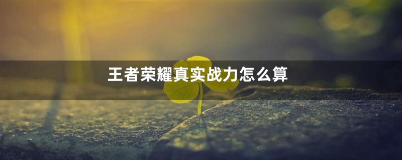 王者荣耀真实战力怎么算