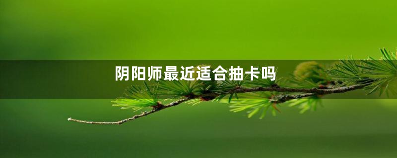 阴阳师最近适合抽卡吗