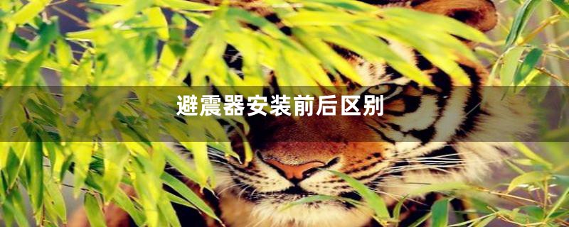 避震器安装前后区别