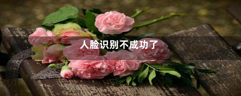人脸识别不成功了