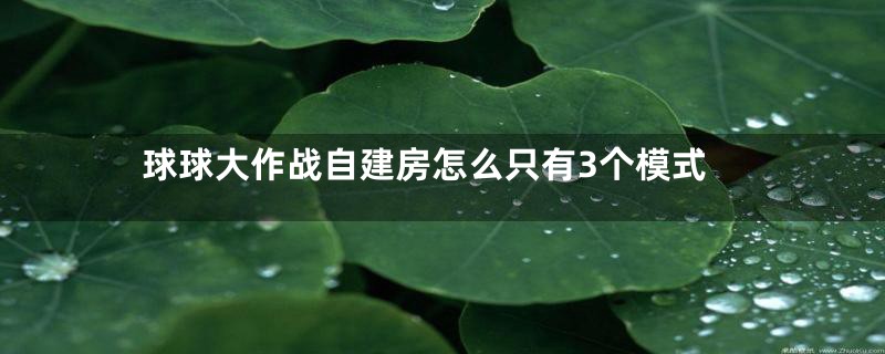 球球大作战自建房怎么只有3个模式
