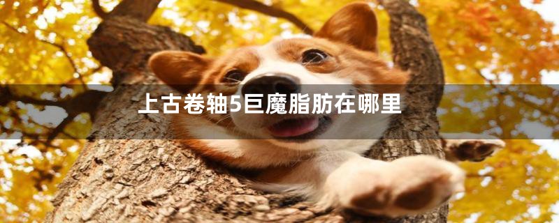 上古卷轴5巨魔脂肪在哪里