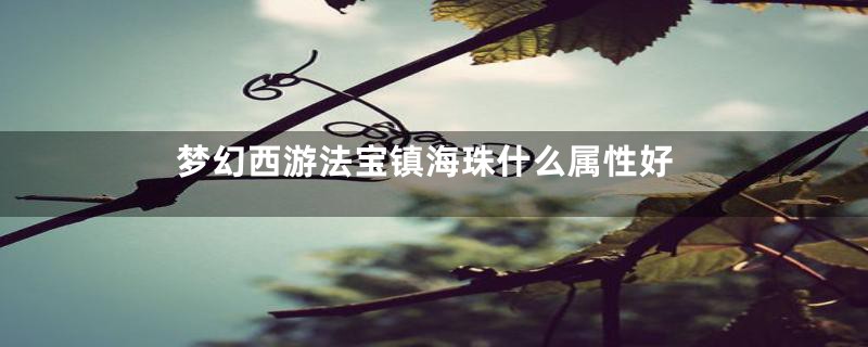 梦幻西游法宝镇海珠什么属性好