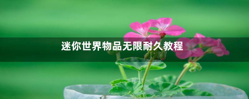 迷你世界物品无限耐久教程