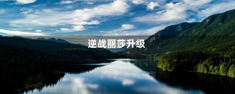 逆战丽莎升级