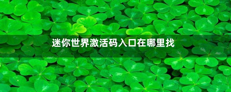 迷你世界激活码入口在哪里找