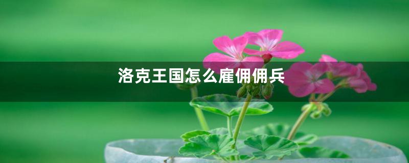 洛克王国怎么雇佣佣兵