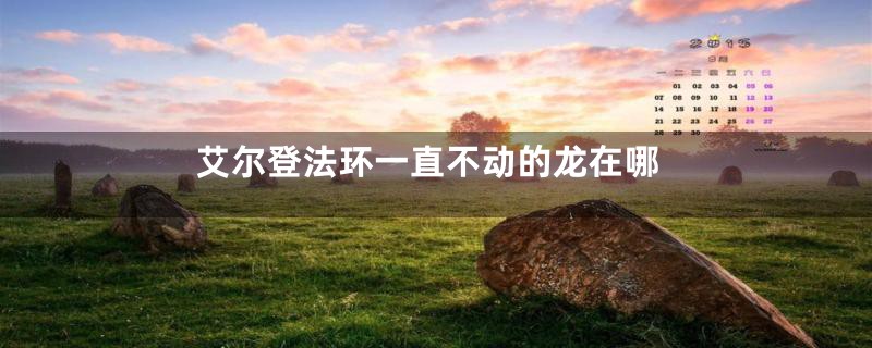 艾尔登法环一直不动的龙在哪