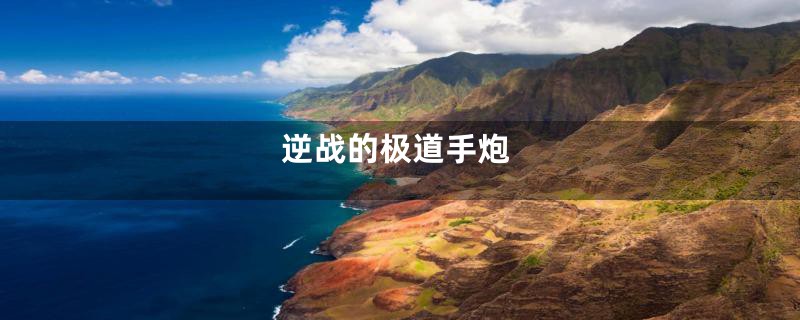 逆战的极道手炮