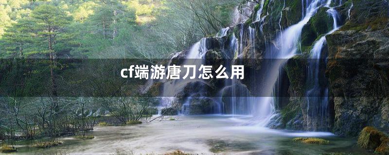 cf端游唐刀怎么用