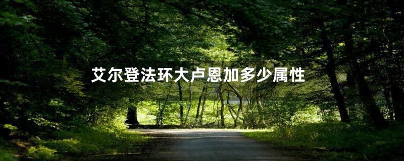 艾尔登法环大卢恩加多少属性