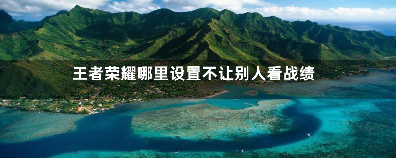 王者荣耀哪里设置不让别人看战绩