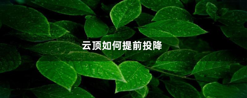 云顶如何提前投降