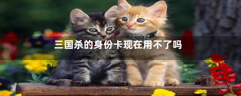 三国杀的身份卡现在用不了吗