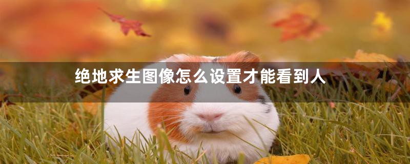 绝地求生图像怎么设置才能看到人
