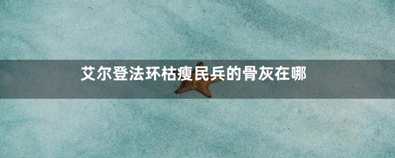艾尔登法环枯瘦民兵的骨灰在哪