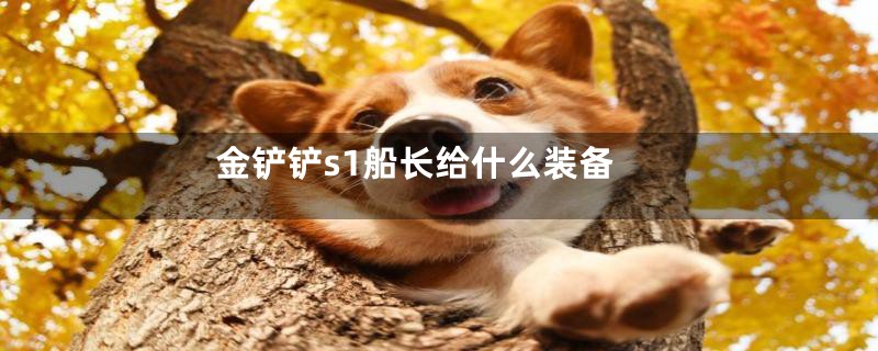 金铲铲s1船长给什么装备