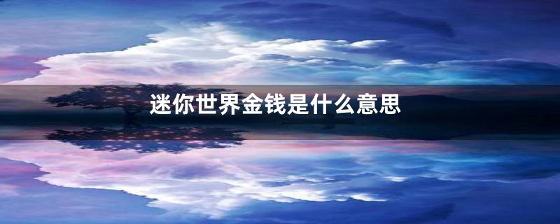 迷你世界金钱是什么意思