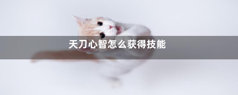 天刀心智怎么获得技能