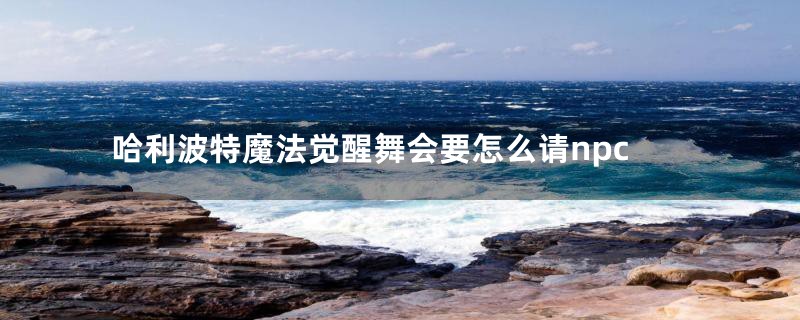 哈利波特魔法觉醒舞会要怎么请npc