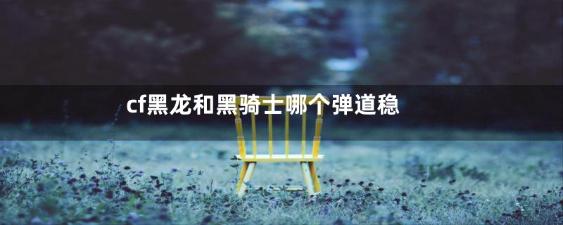 cf黑龙和黑骑士哪个弹道稳