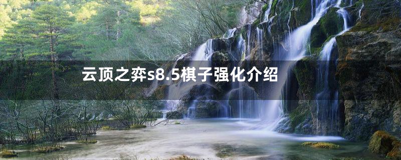 云顶之弈s8.5棋子强化介绍